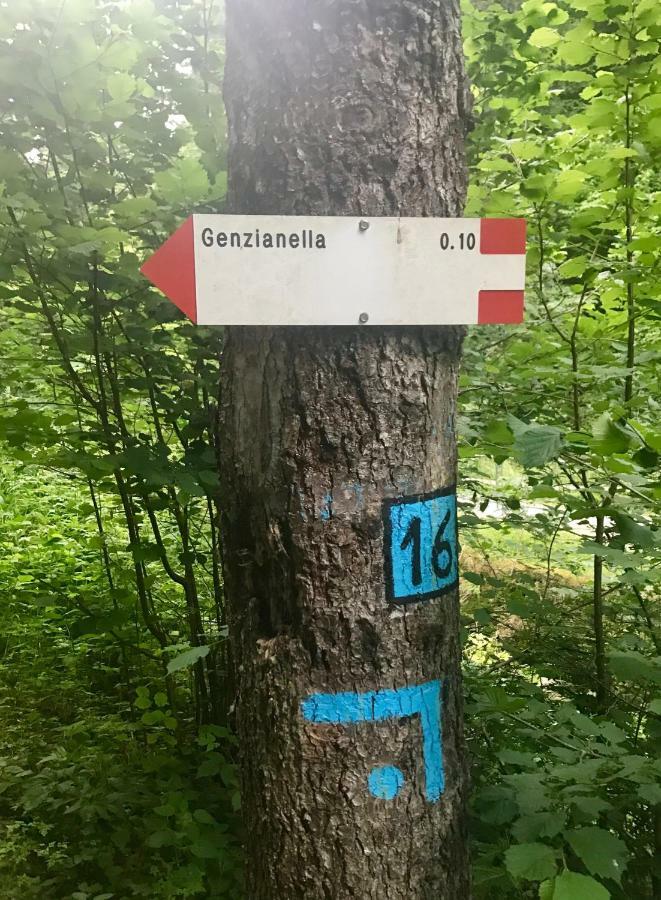 Genzianella Molveno-Andalo Apartment Luaran gambar